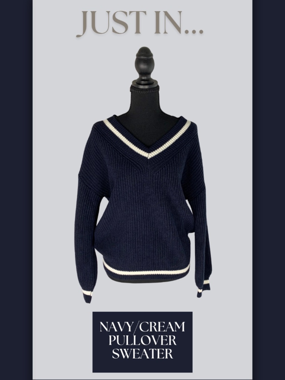 Navy V-Neck Pullover Sweater Cream Trim M Academia Preppy Varsity
